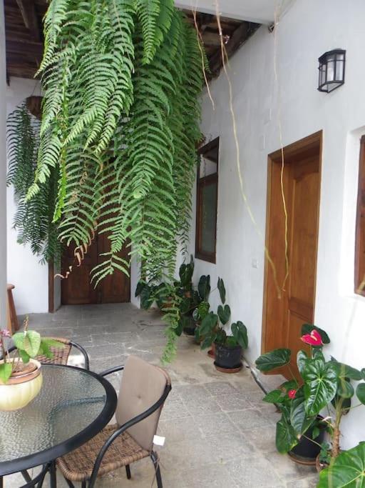 Вилла Preciosa Casa Emblematatica, Piscina,Wifi Санта-Каталина Экстерьер фото