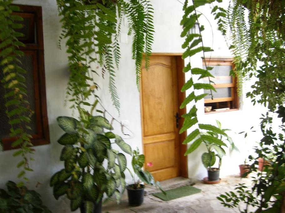 Вилла Preciosa Casa Emblematatica, Piscina,Wifi Санта-Каталина Экстерьер фото